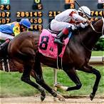 best horse to bet on tomorrow